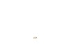 Arbor Nut – Part Number: 388956-00