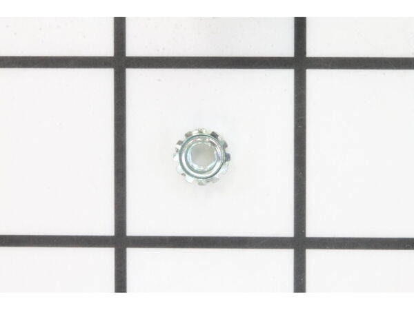 10171059-1-M-DeWALT-389031-00-Nut