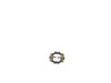 Brush Ring Assembly – Part Number: 389512-01