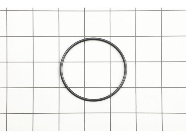 10171257-1-M-DeWALT-390164-00-O-Ring