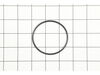 O-Ring – Part Number: 390164-00