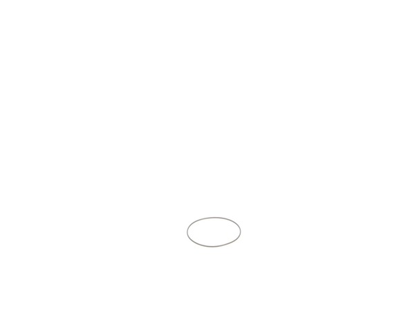 10171619-1-M-DeWALT-393758-00-O-Ring
