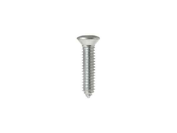 1017178-1-M-GE-WR01X10591        -Screw