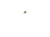 10171829-2-S-DeWALT-396017-00-Spring