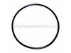 O-Ring – Part Number: 398159-00