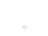 O-ring – Part Number: 398164-00