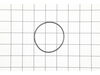 O-ring – Part Number: 398166-00