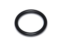 O-ring – Part Number: 398170-00