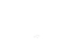 10172113-3-S-DeWALT-398693-00-Pointer,miter
