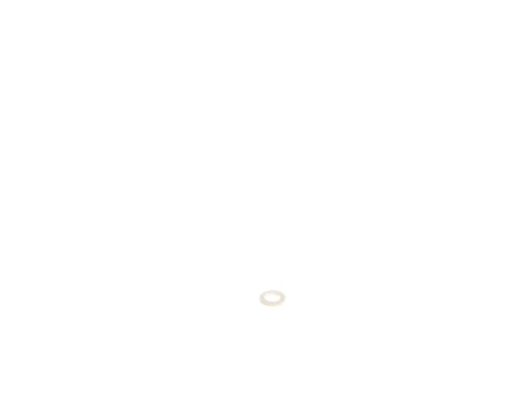 10172147-1-M-DeWALT-399052-00-Felt Washer