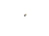 Carbon Brush – Part Number: 400814-00