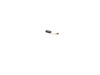 10172331-2-S-DeWALT-402874-03-Carbon Brush