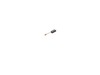 10172331-3-S-DeWALT-402874-03-Carbon Brush