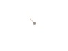 10172332-3-S-DeWALT-402874-07-Carbon Brush