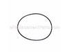 O-ring – Part Number: 403123-01