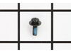 10172552-2-S-DeWALT-429673-00-Screw And Washer
