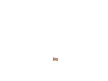 Sleeve Bearing – Part Number: 450907-00