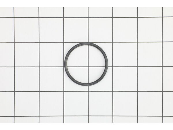 10174327-1-M-DeWALT-491004-00-O-Ring