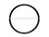 O-Ring – Part Number: 491536-00