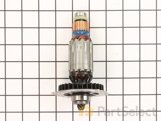 10174604-1-M-DeWALT-496251-00-Armature Assembly