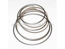Valve Spring – Part Number: 5130142-00