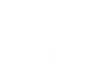 Spring – Part Number: 5140011-43