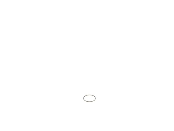 10177099-1-M-DeWALT-5140033-16-O-Ring
