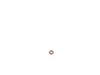 Bearing – Part Number: 5140117-81