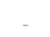 Check Valve – Part Number: 5140121-07