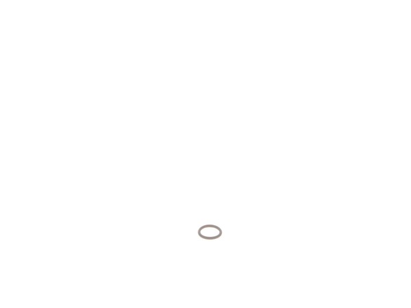 10179739-1-M-DeWALT-577135-00-O-ring