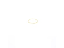 O-ring – Part Number: 608611-00