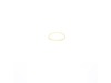 O-ring – Part Number: 608611-00