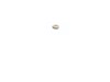 10182446-2-S-DeWALT-623592-00-Felt Seal