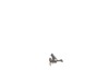 Pusher Assy. – Part Number: 624748-00
