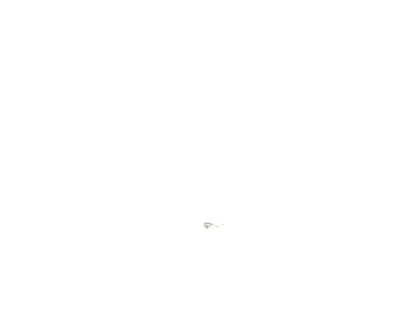10183075-1-M-DeWALT-636760-00-Brush Spring