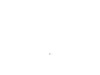 Brush Spring – Part Number: 636760-00
