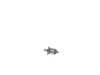 Armature&pinion – Part Number: 640548-00SV