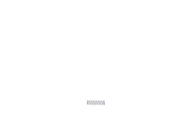 10183284-1-M-DeWALT-641131-00-Spring