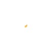 10183524-2-S-DeWALT-646940-00-Brush Door