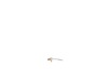 Brush Box Assembly – Part Number: 647142-01