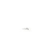 Brush Set – Part Number: 761819-00