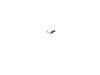 10185937-3-S-DeWALT-940146-01-Brush