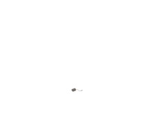 Carbon Brush – Part Number: 949646-01