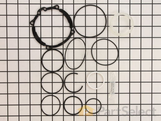10186942-1-M-DeWALT-N001053-O-Ring Kit