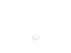 Head Valve – Part Number: N006894