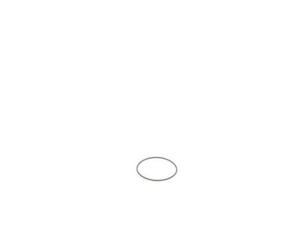 10187276-1-M-DeWALT-N025479-Oring