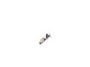 10187318-2-S-DeWALT-N028208-Manifold Regulator Assembly