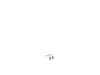 Brush – Part Number: N032832