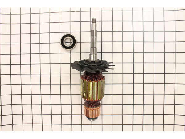 10187791-1-M-DeWALT-N048189-Armature & Brgs