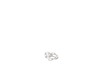 Chain – Part Number: N085907